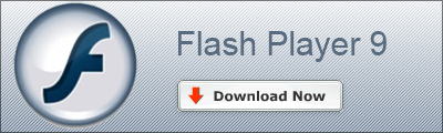 Flash Update
