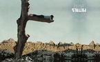 Nouvel album pour Feist